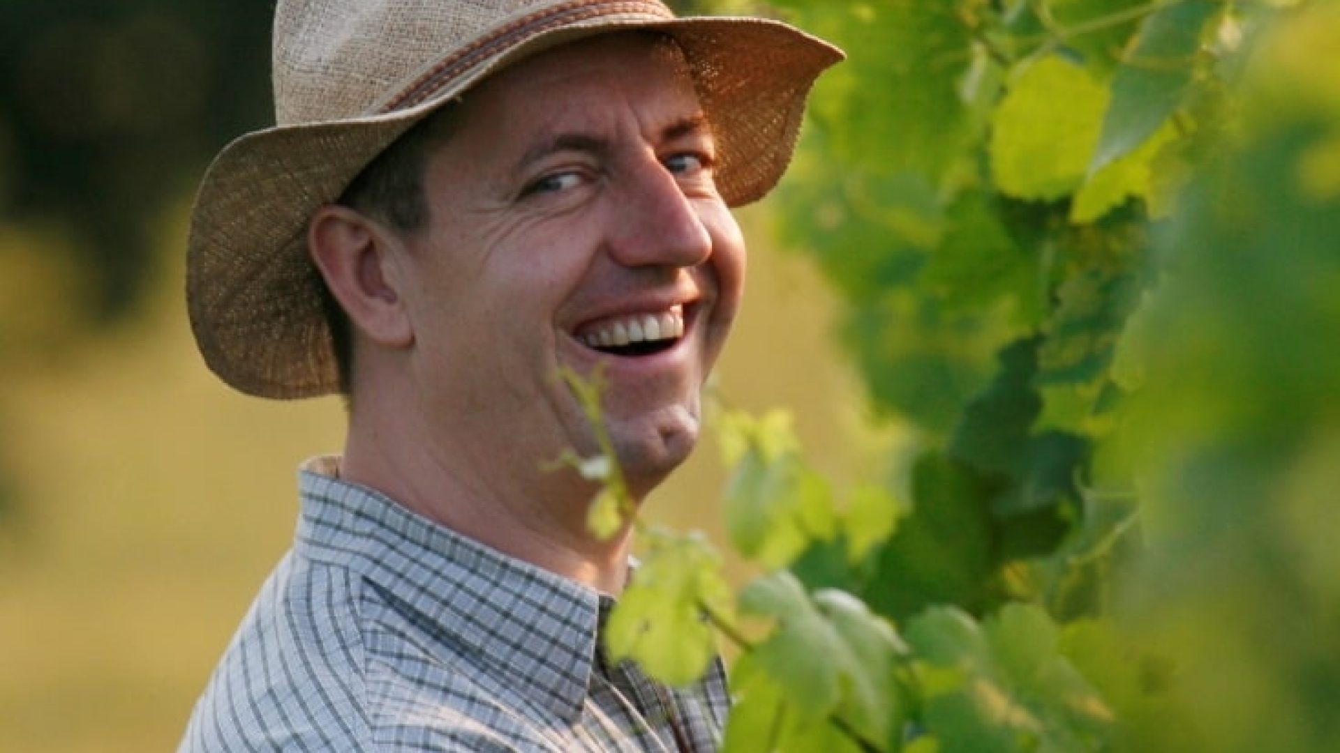 Wörner: Wieviel Esoterik verträgt Wein?