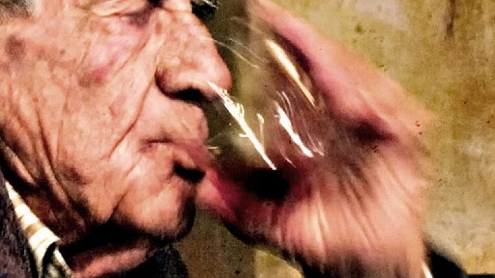 Rosso Piceno: Bio-Wein wie früher