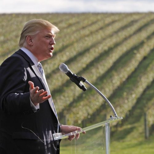 trump-winery